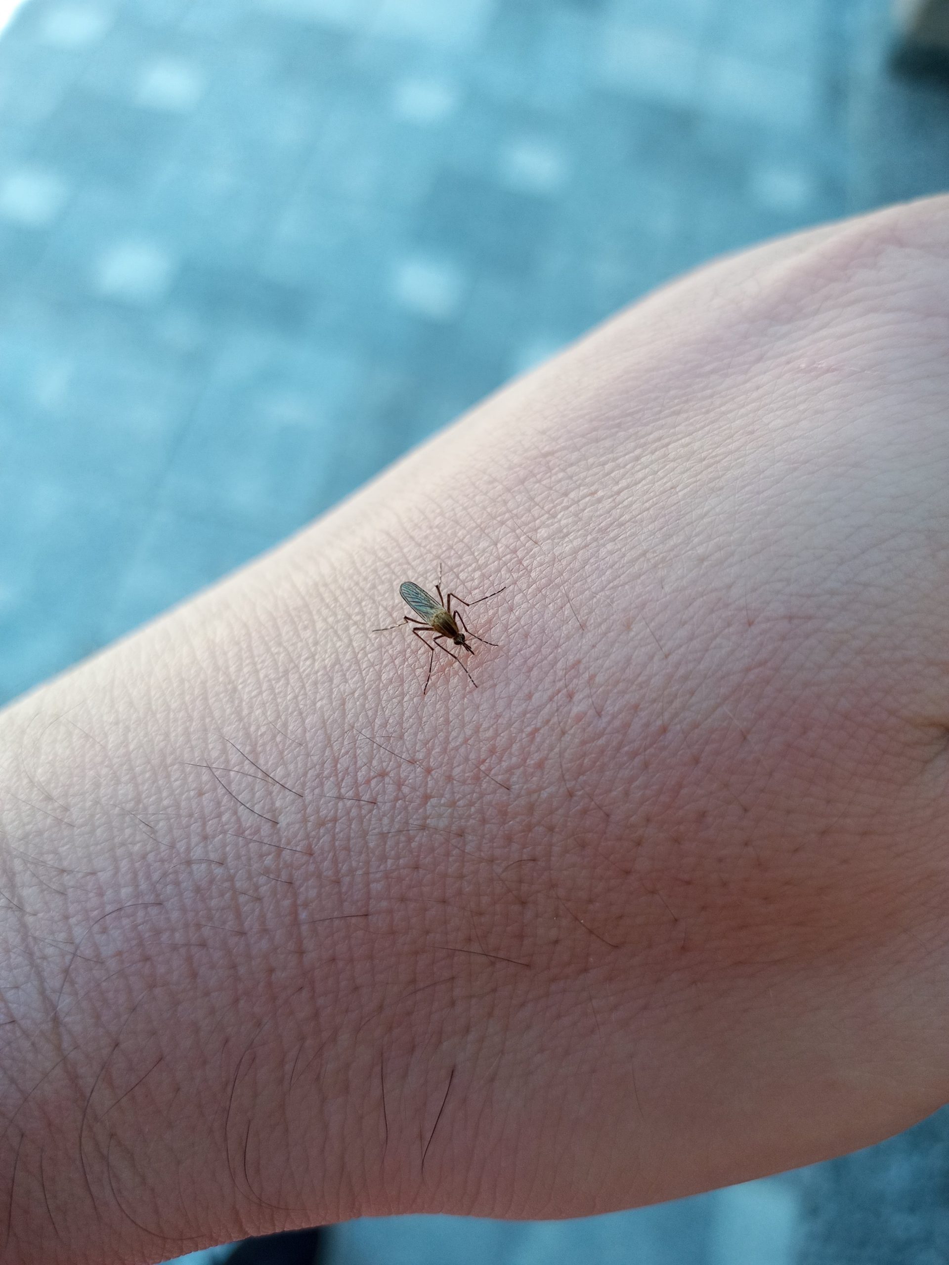 20220131_1038331988061307385174551