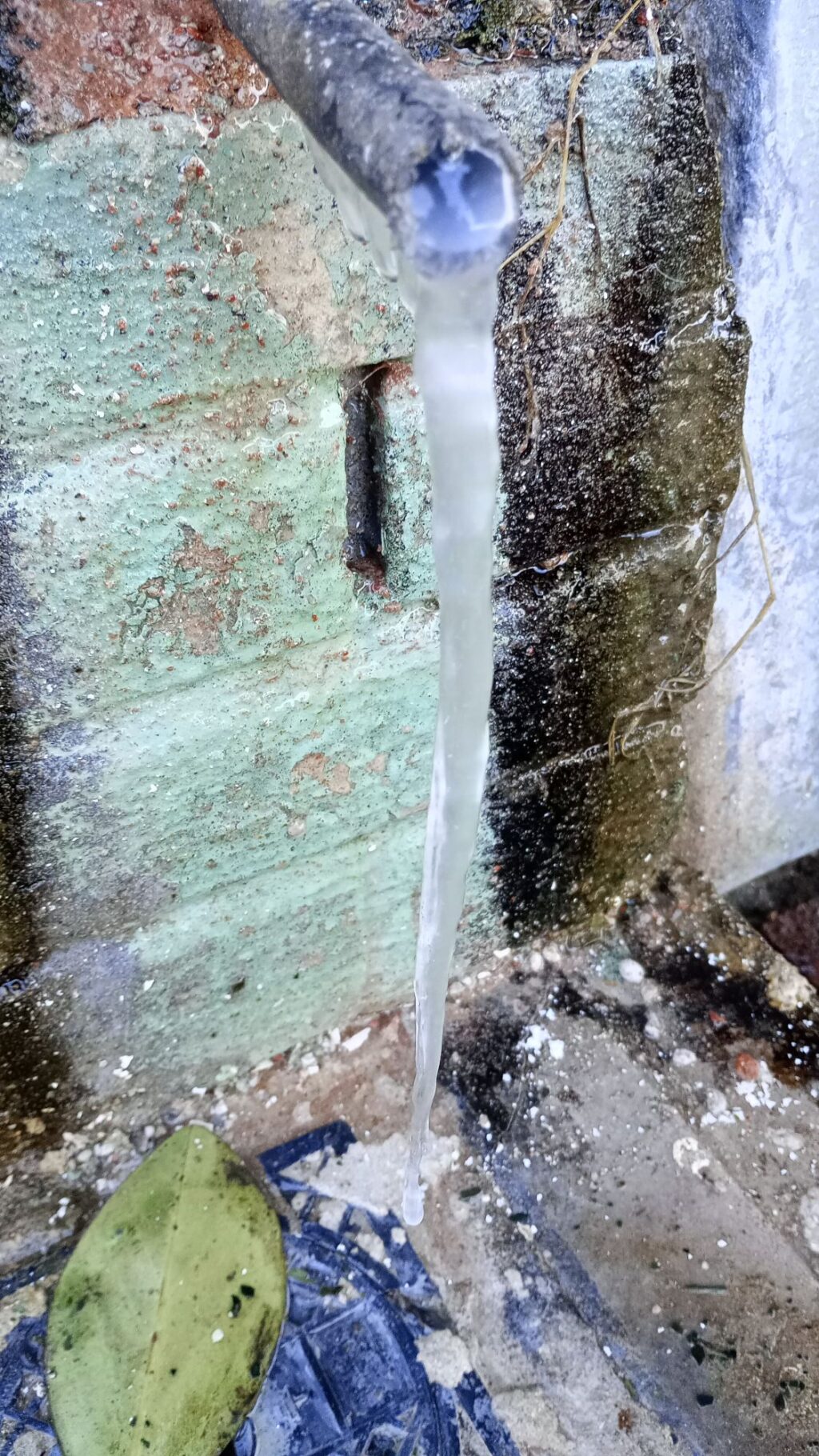 img-20240710-wa00028537114669829074933