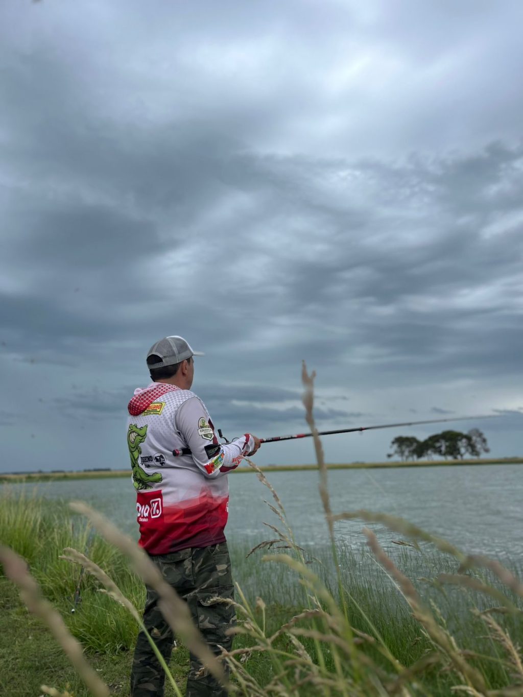 WhatsApp Image 2024-11-25 at 16.50.45