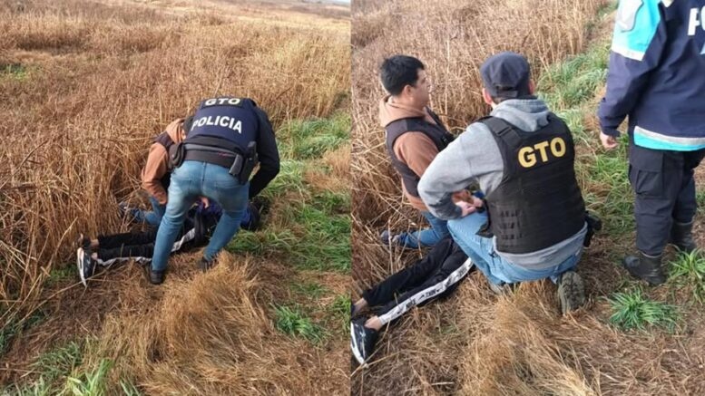 wmremove-transformed-1