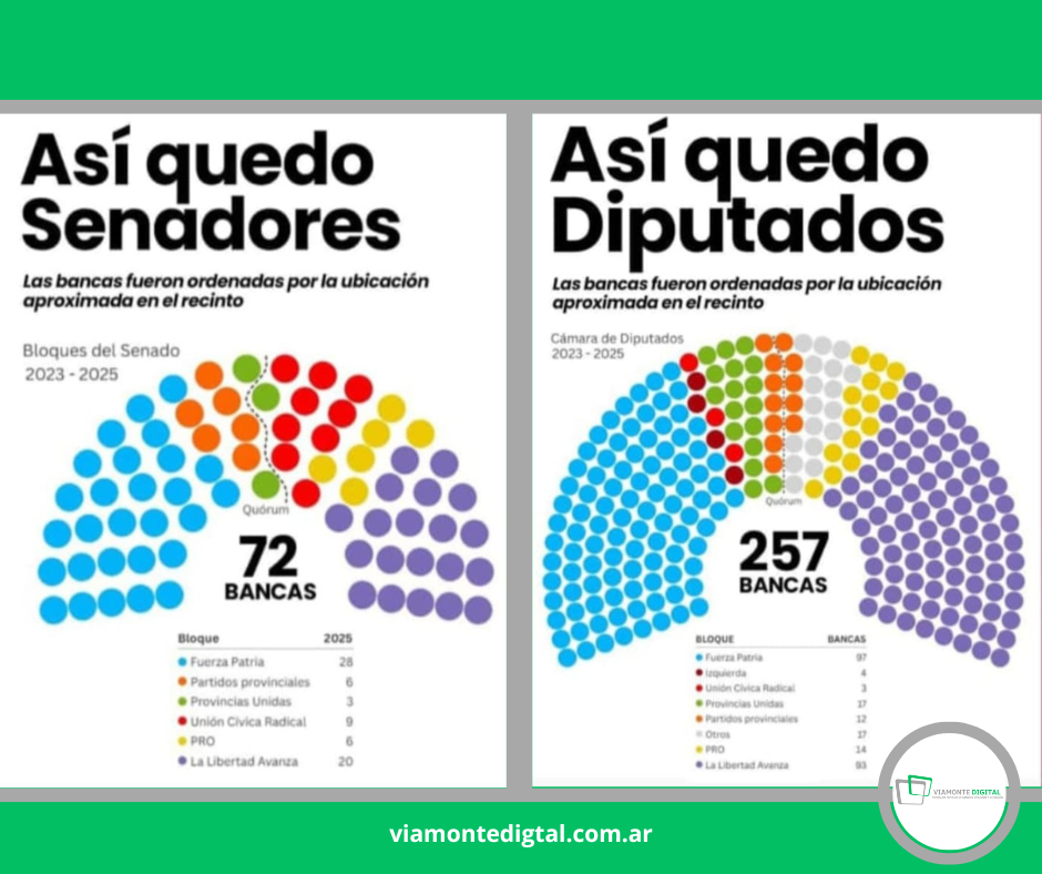 camaras elecciones 2025