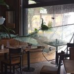 Fuerte tormenta en Chivilcoy provocó caída de árboles, granizo y anegamientos