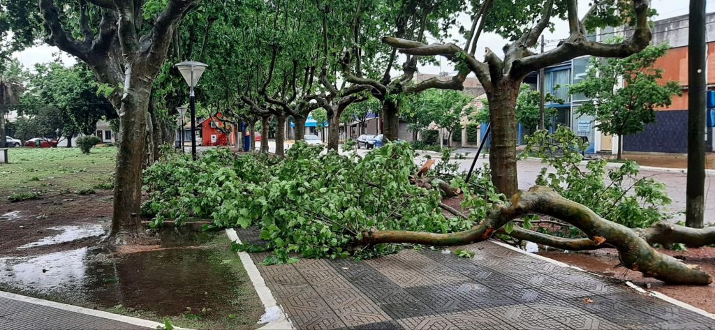 fb_img_17622679039616293662571428911730