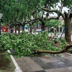 fb_img_17622679039616293662571428911730