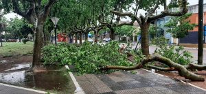 fb_img_17622679039616293662571428911730