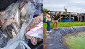 20260219164650_fotojet-5