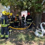 Trabajo conjunto de bomberos evitó una tragedia en El Tejar