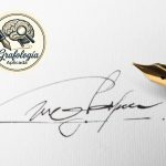 Tu firma y tu autoestima: lo que quizás nunca te animaste a mirar