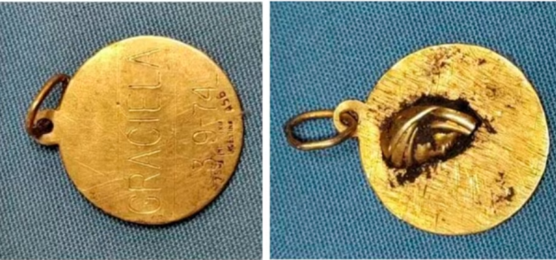 Medalla Graciela Geuna