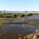 Autoridades refuerzan controles y monitoreo ante la situación hídrica en el Río Salado