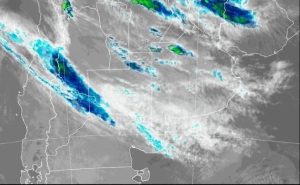 img-20260419-wa00155251511829913821817